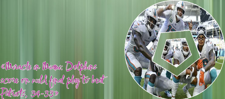 Miami dolphins score