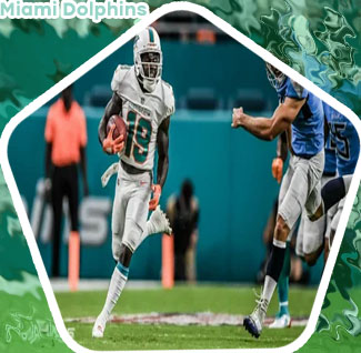 Miami dolphins score now