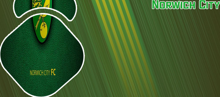 Norwich city fc